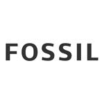 Fossil by CMG