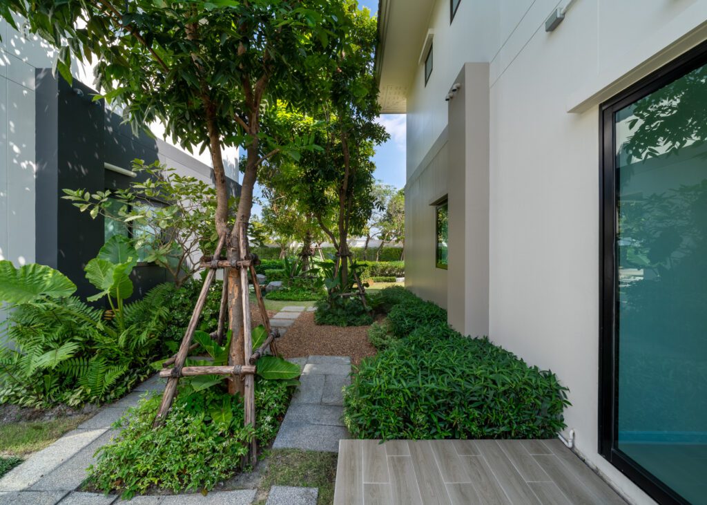 Pimnara ปิ่นเกล้า กาญจนา 19 ถ่าย VR Virtual tour 360 03 House Garden 2 ถ่าย VR Virtual tour 360 ถ่าย